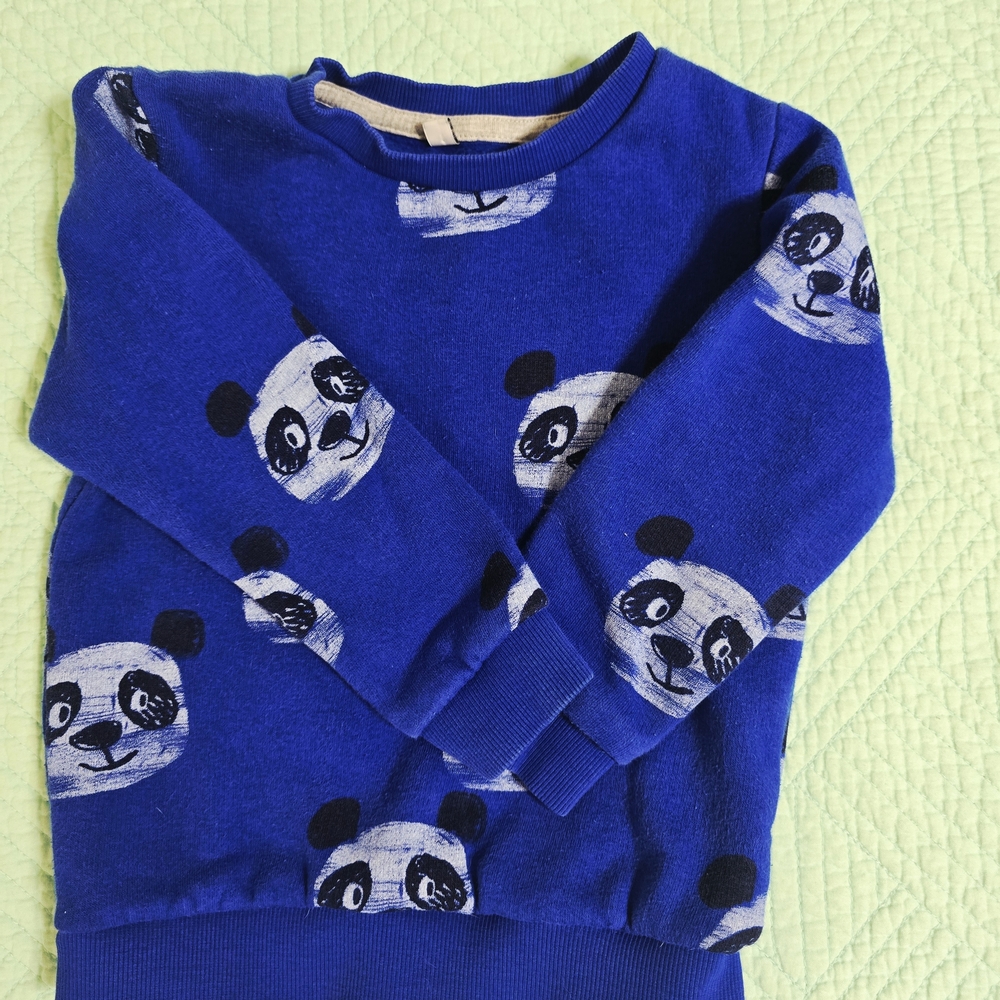 Charming Blue Panda Sweatshirt for Kids